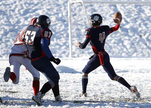 志戬的黄色 志戬的黄色