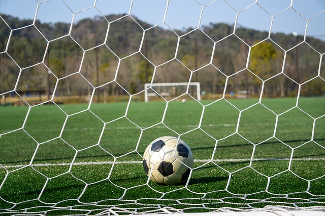 詹姆斯的逆 詹姆斯的逆