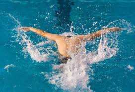 学习和效仿 学习和效仿