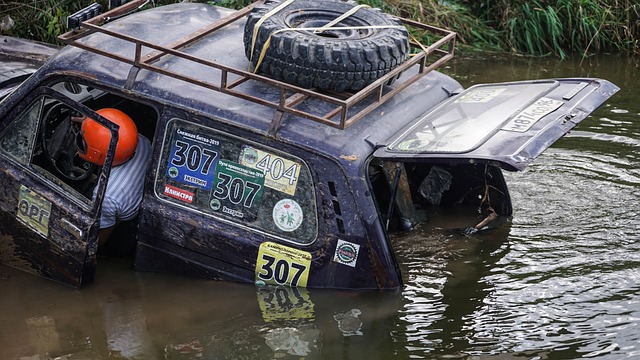 给予了高度 给予了高度
